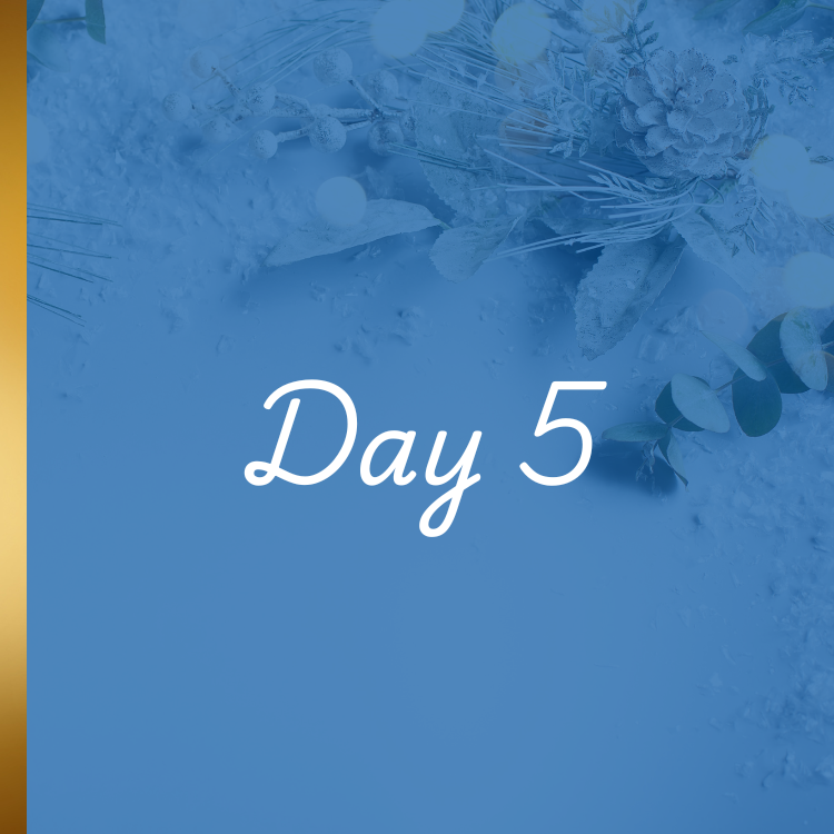 5-Dec-04-2025-04-57-41-1905-PM