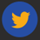 footer-twitter-icon