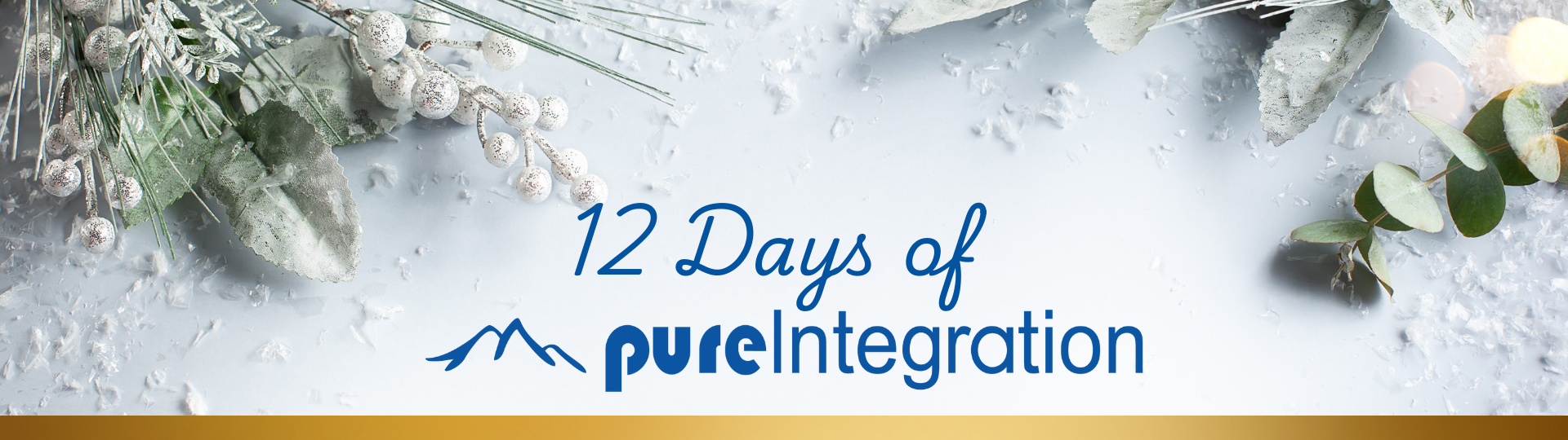 12 Days of pI Webpage Header 1920x540px