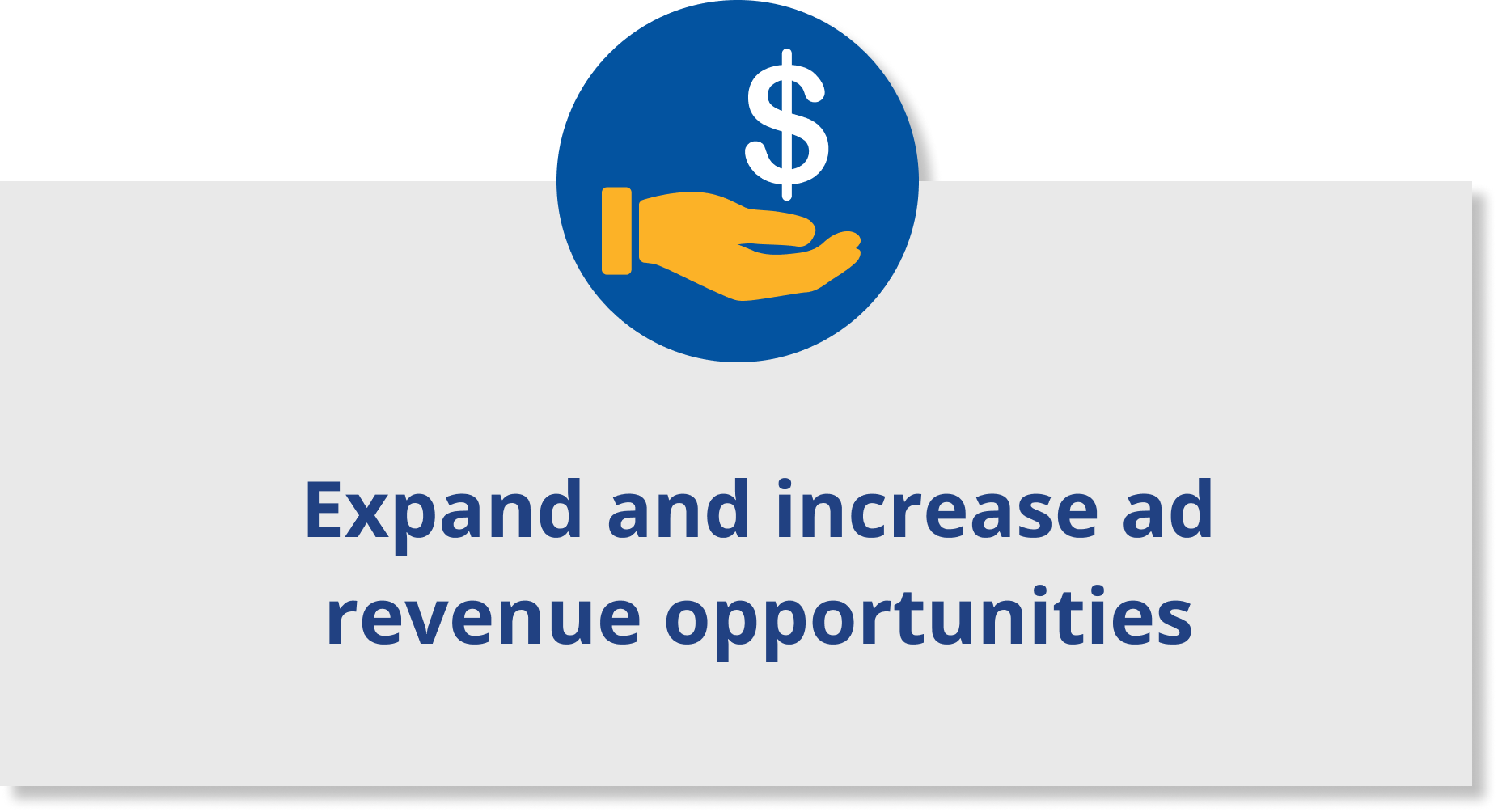 Expand revenue opportunities-1